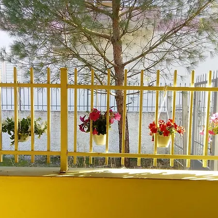 Holiday home Klea Velipoje